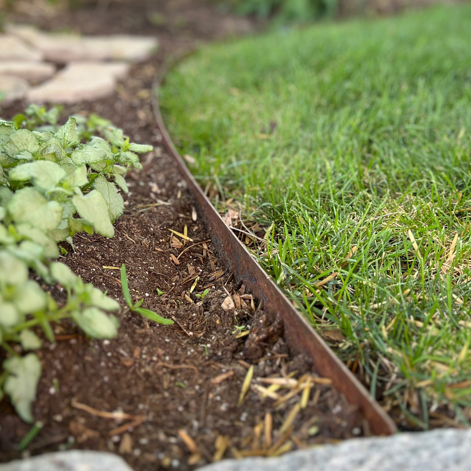 Barrier edge - close up - 3 inch steel edging