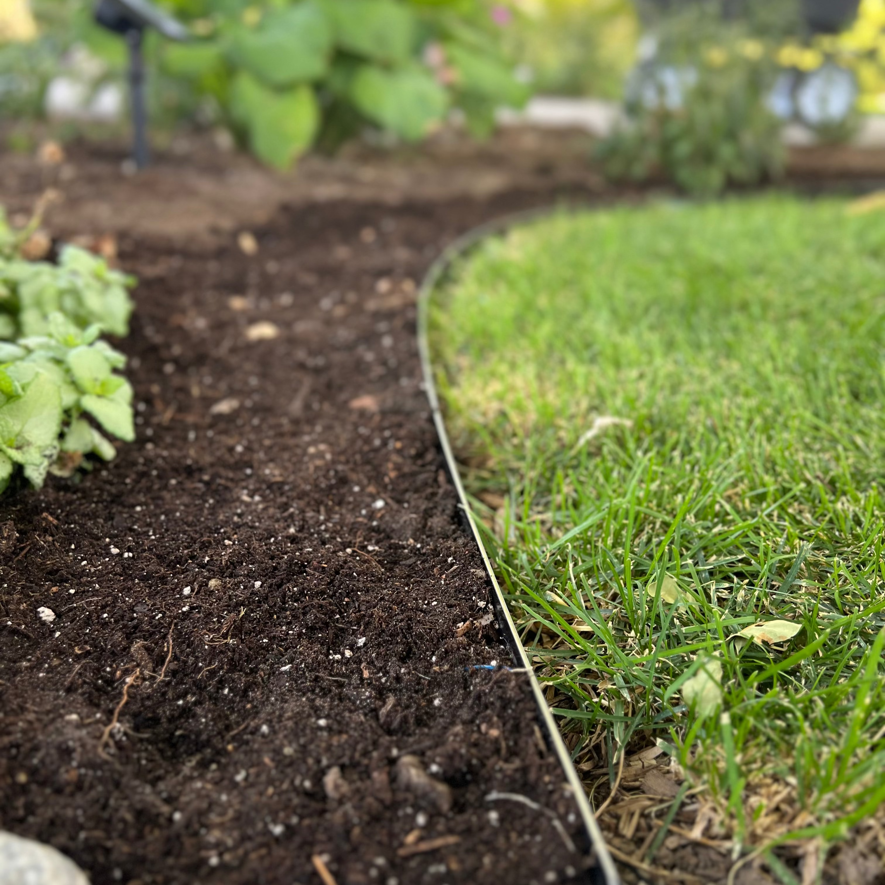 Barrier edge - close up - 3 inch steel edging